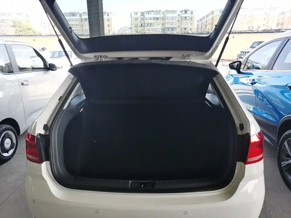Volkswagen Gran Lavida — миниатюра 19
