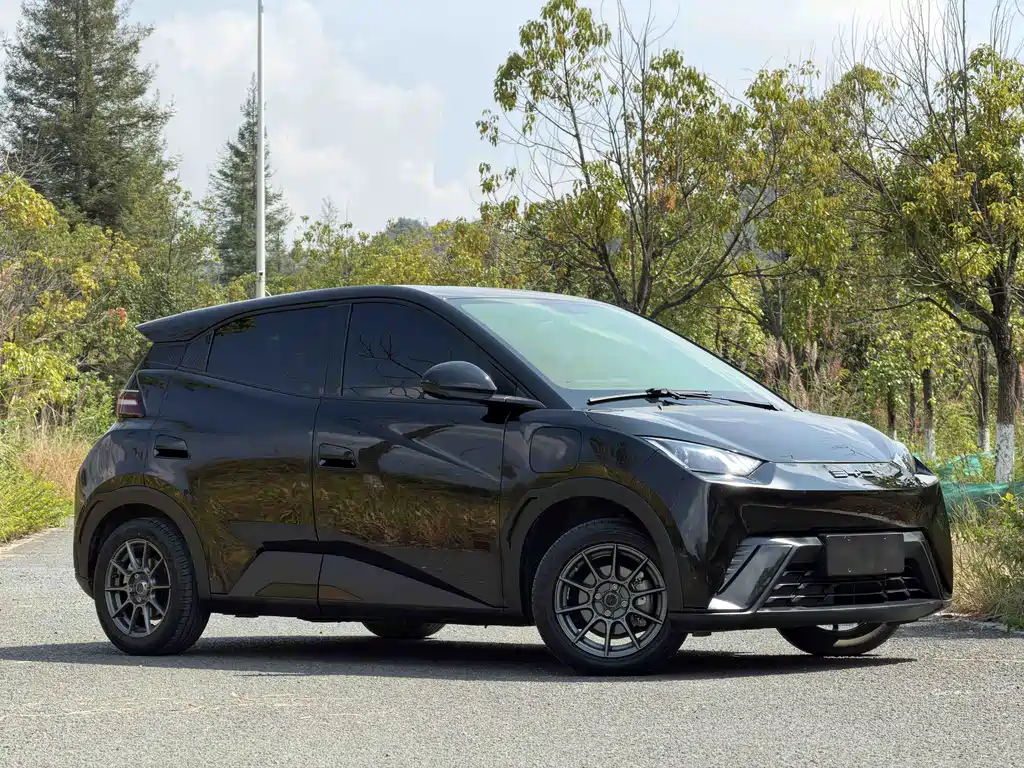 BYD Seagull — миниатюра 19