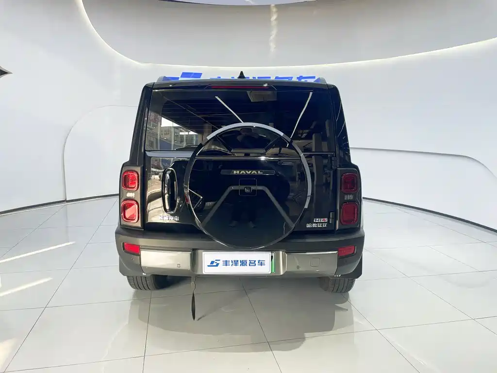 HAVAL RAPTORS NEW ENERGY