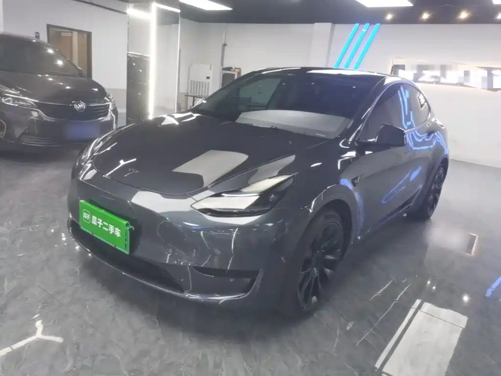 Tesla Model Y — миниатюра 2