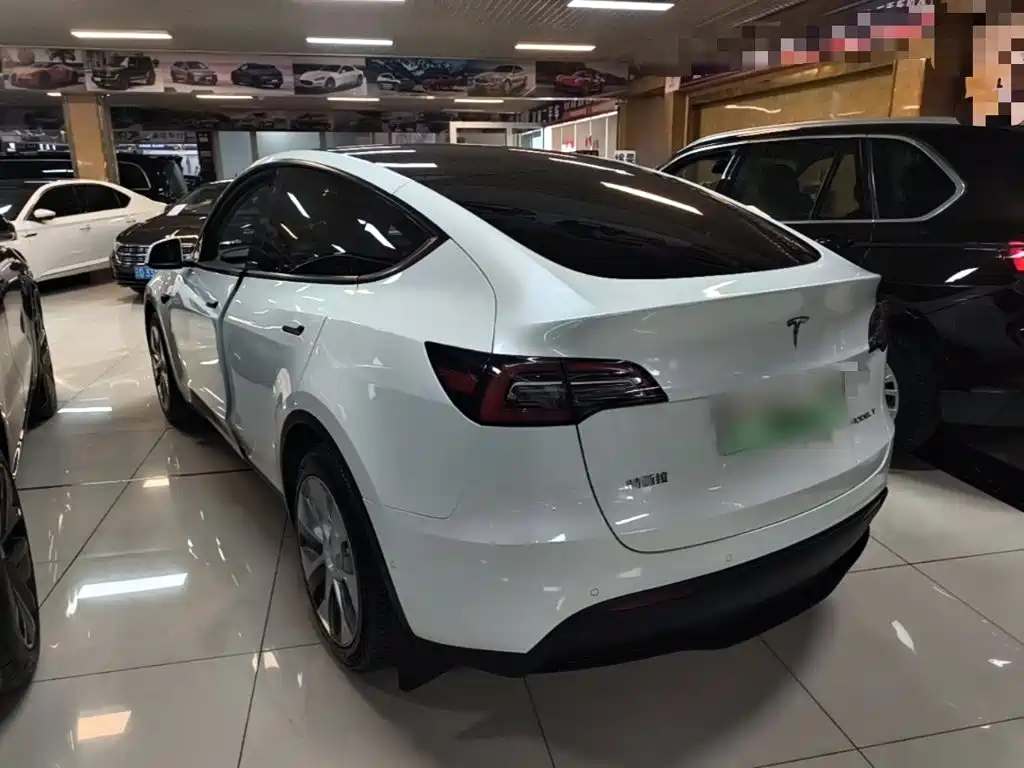 Tesla Model Y — миниатюра 5