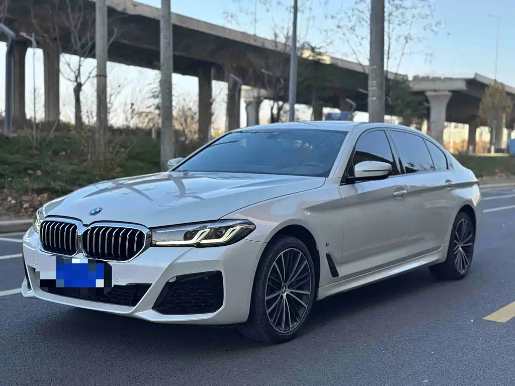 Купить BMW 5 Series