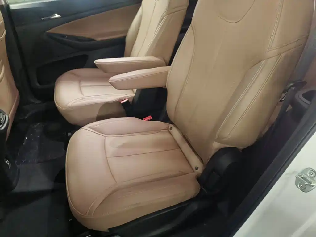 Buick GL6 — миниатюра 17