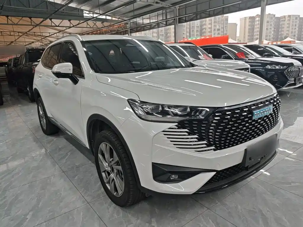Haval H6 New Energy — миниатюра 4