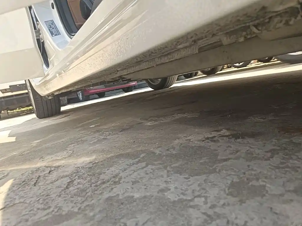Buick GL6 — миниатюра 21