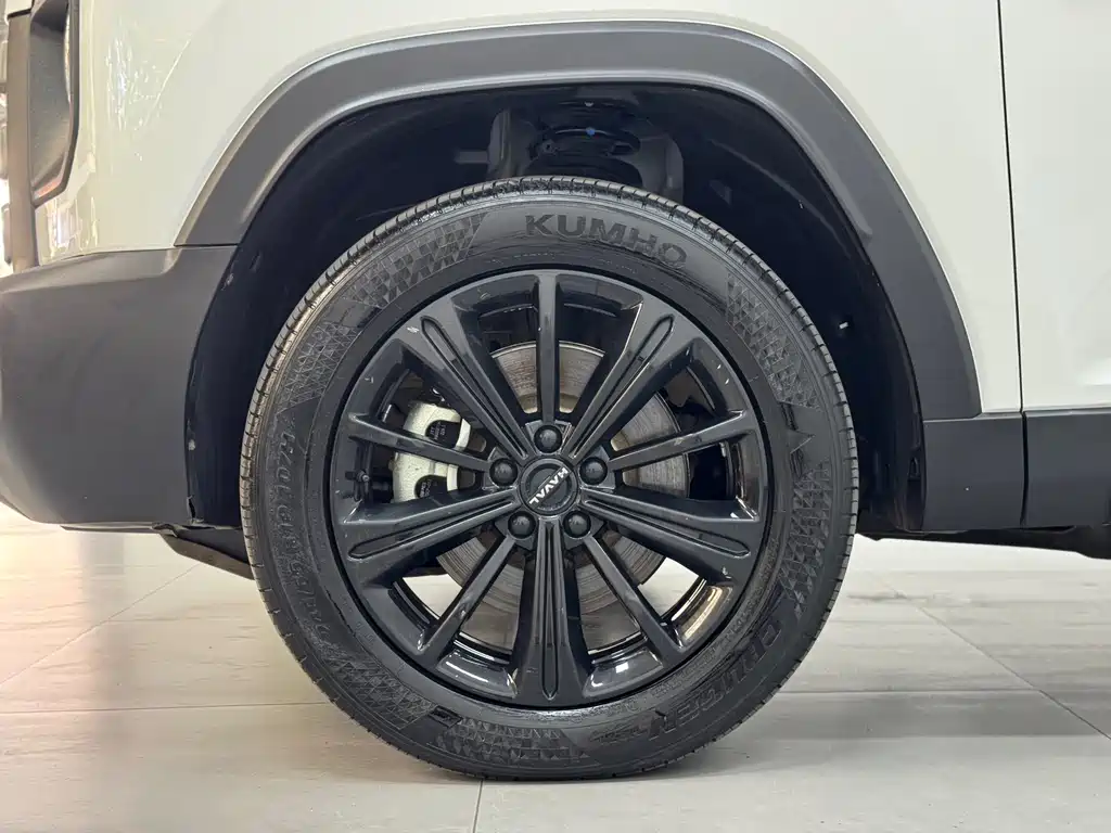 Haval Menglong New Energy — миниатюра 4