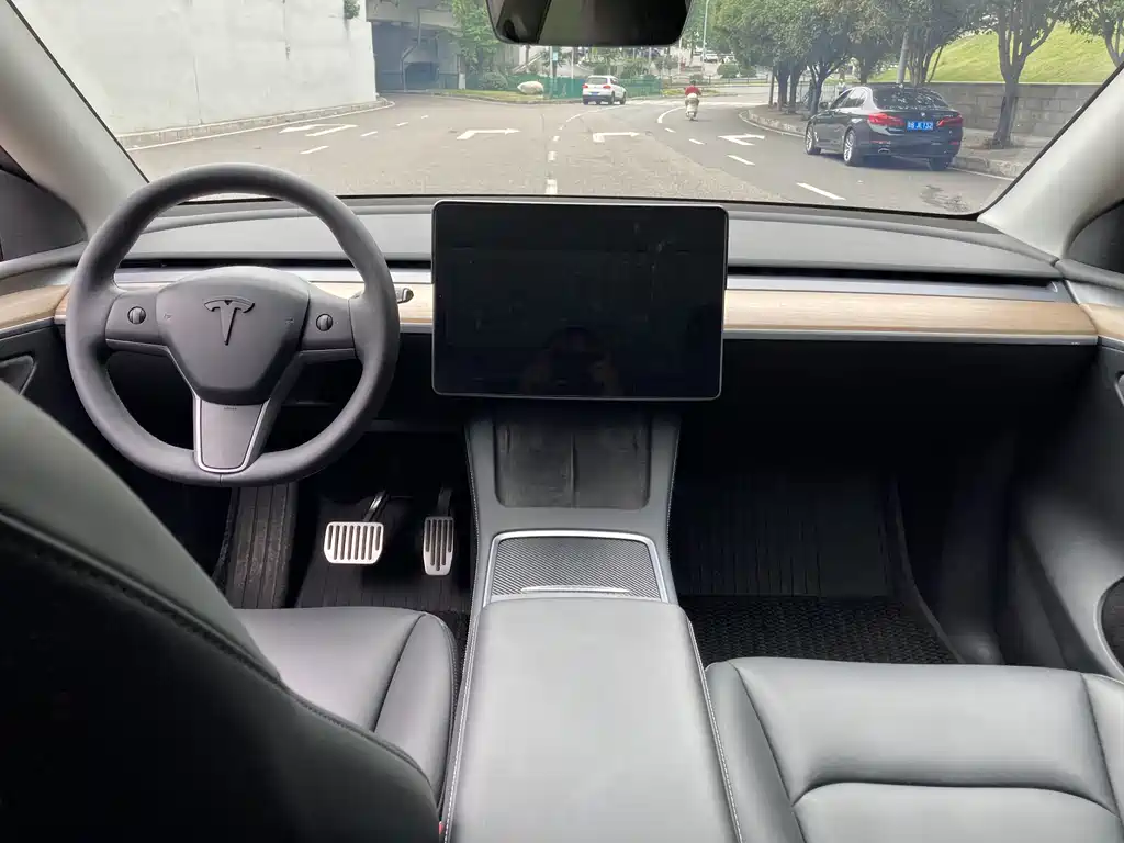 Tesla Model Y — миниатюра 7