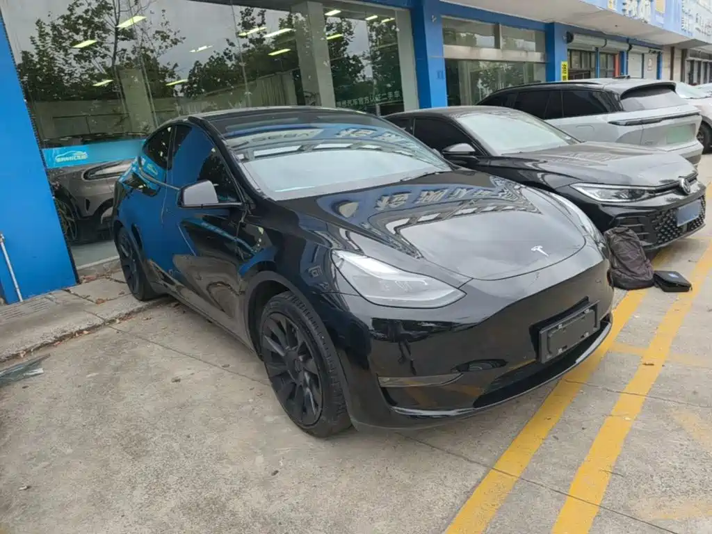 Tesla Model Y — миниатюра 4