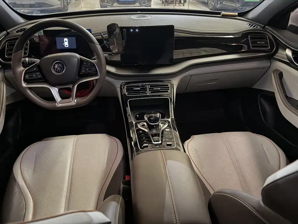 BYD Qin PLUS — миниатюра 9
