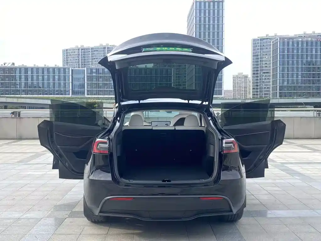 Tesla Model Y — миниатюра 12
