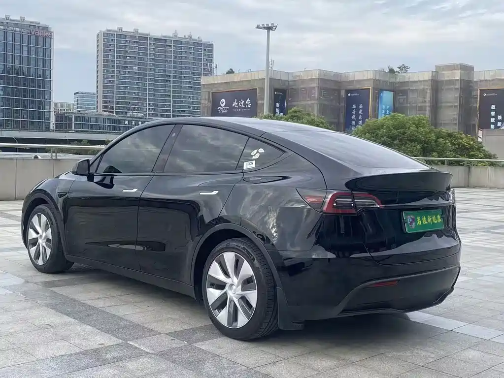 Tesla Model Y — миниатюра 15