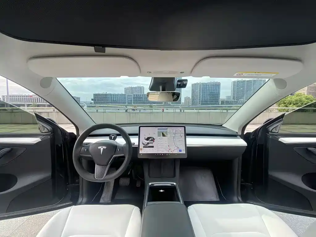 Tesla Model Y — миниатюра 9