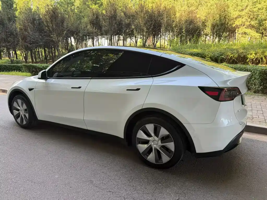 Tesla Model Y — миниатюра 7