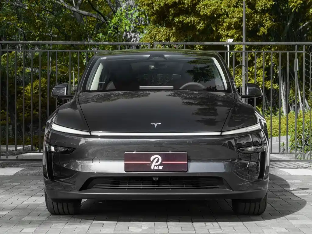 Tesla Model Y — миниатюра 2