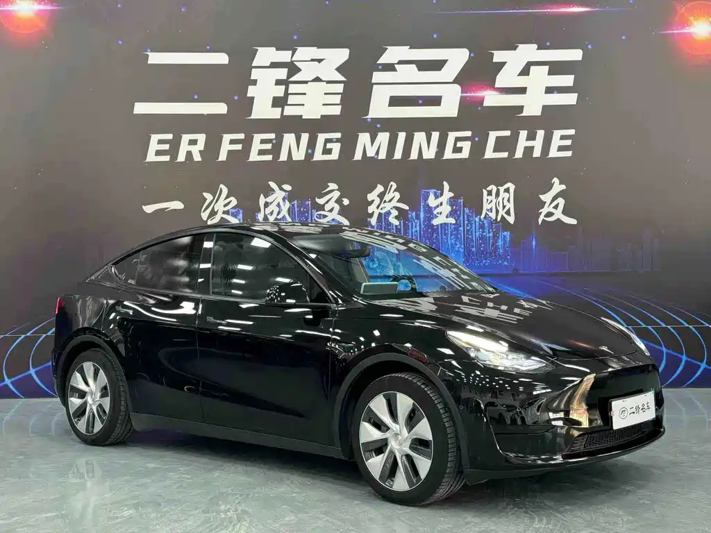 Tesla Model Y — миниатюра 3