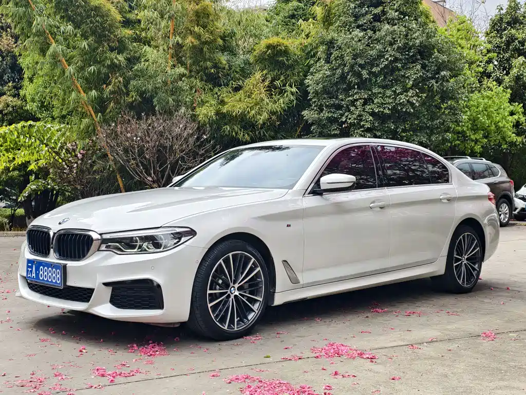 BMW 5 Series 2021