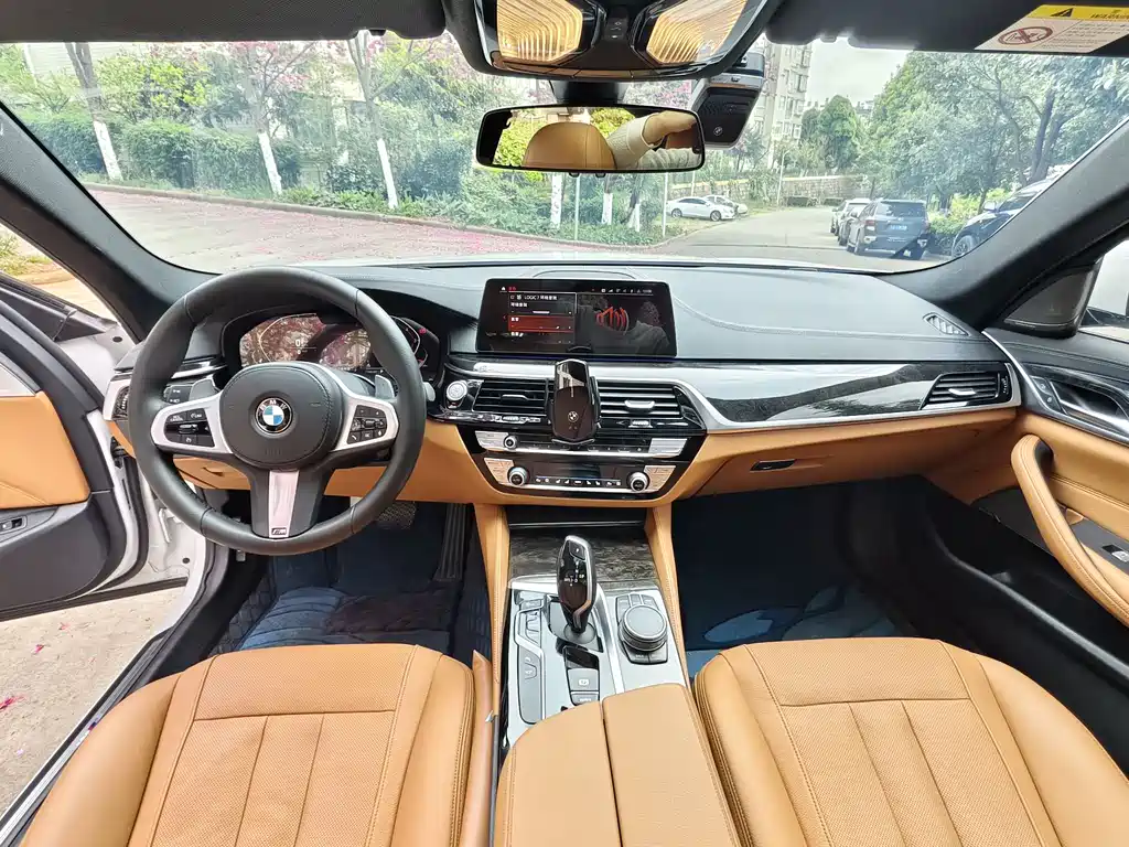 BMW 5 Series 5 2020 530Li Premium M Sport