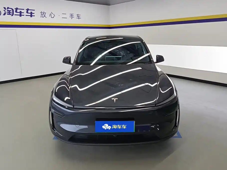 Tesla Model Y — миниатюра 2