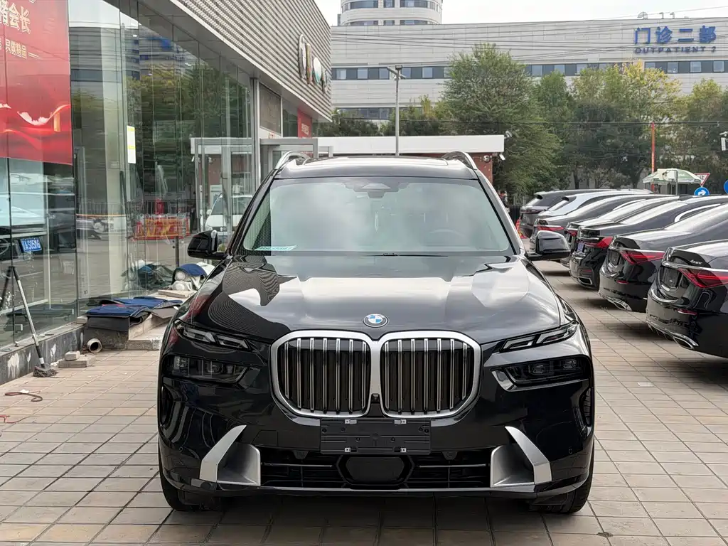 BMW X7 — миниатюра 2