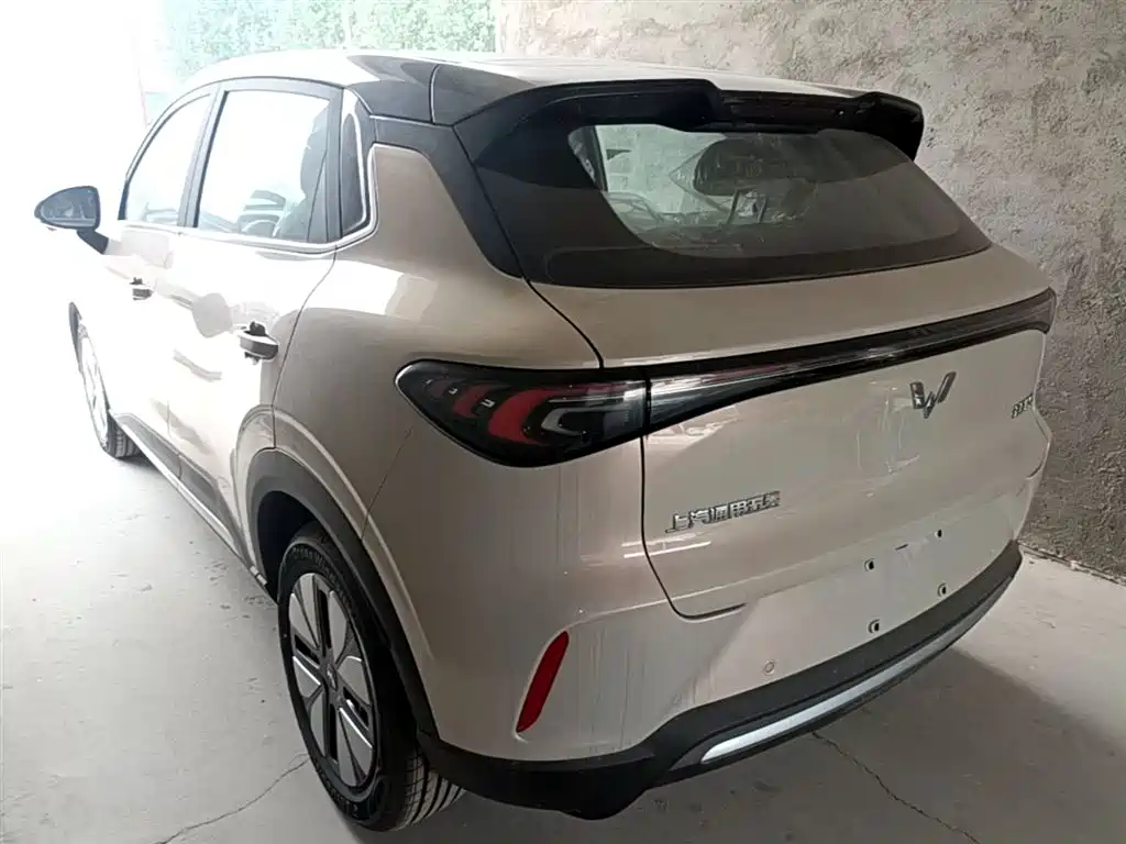 Wuling BinguoS S 2025 325km Premium