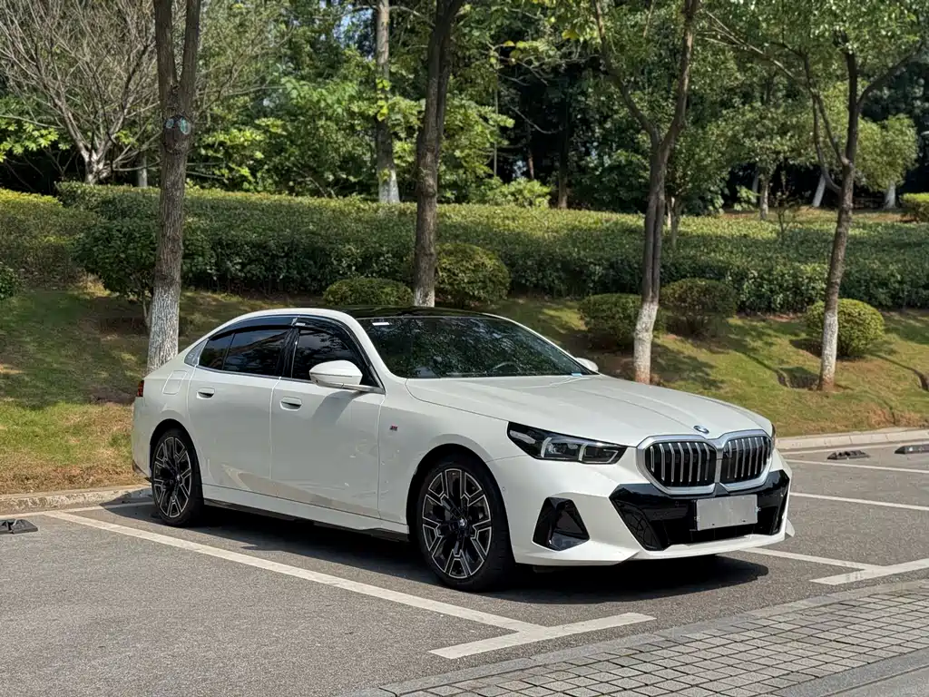 BMW 5 Series — миниатюра 3
