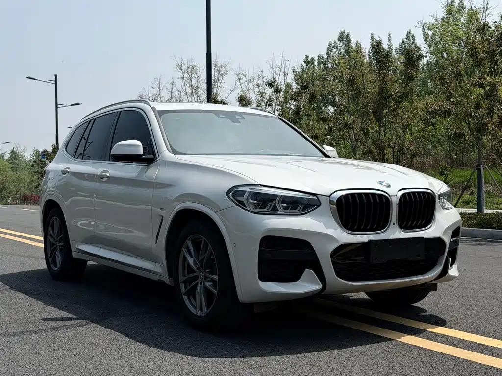 BMW X3 — миниатюра 3