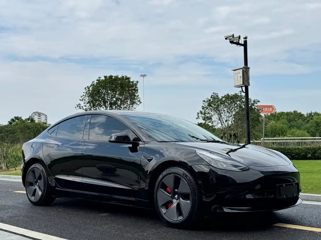 Tesla Model 3 — миниатюра 3