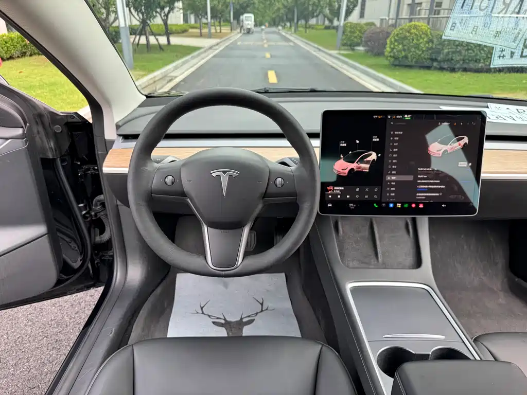 Tesla Model 3 — миниатюра 30