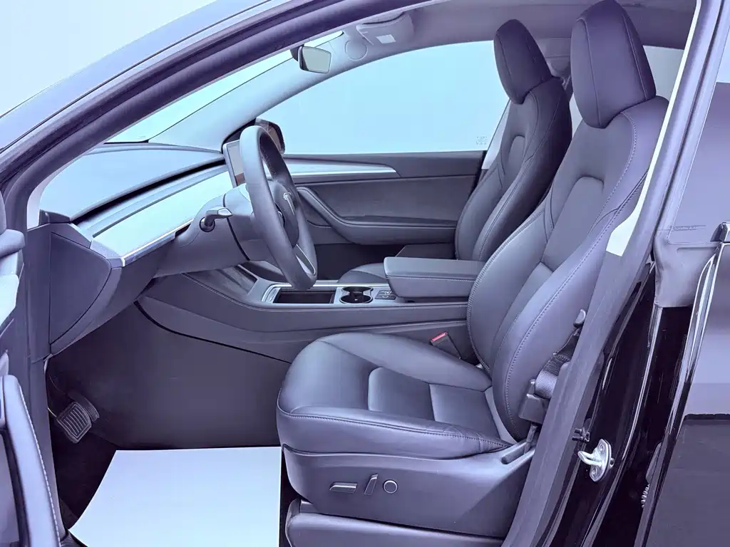 Tesla Model Y — миниатюра 9