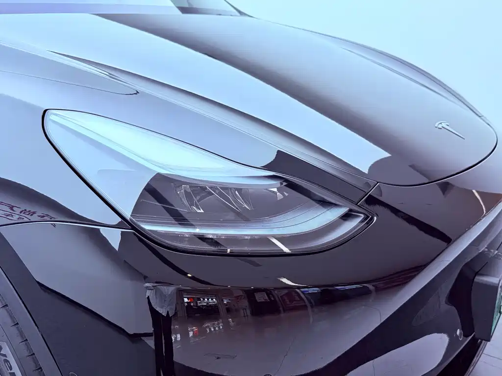 Tesla Model Y — миниатюра 22