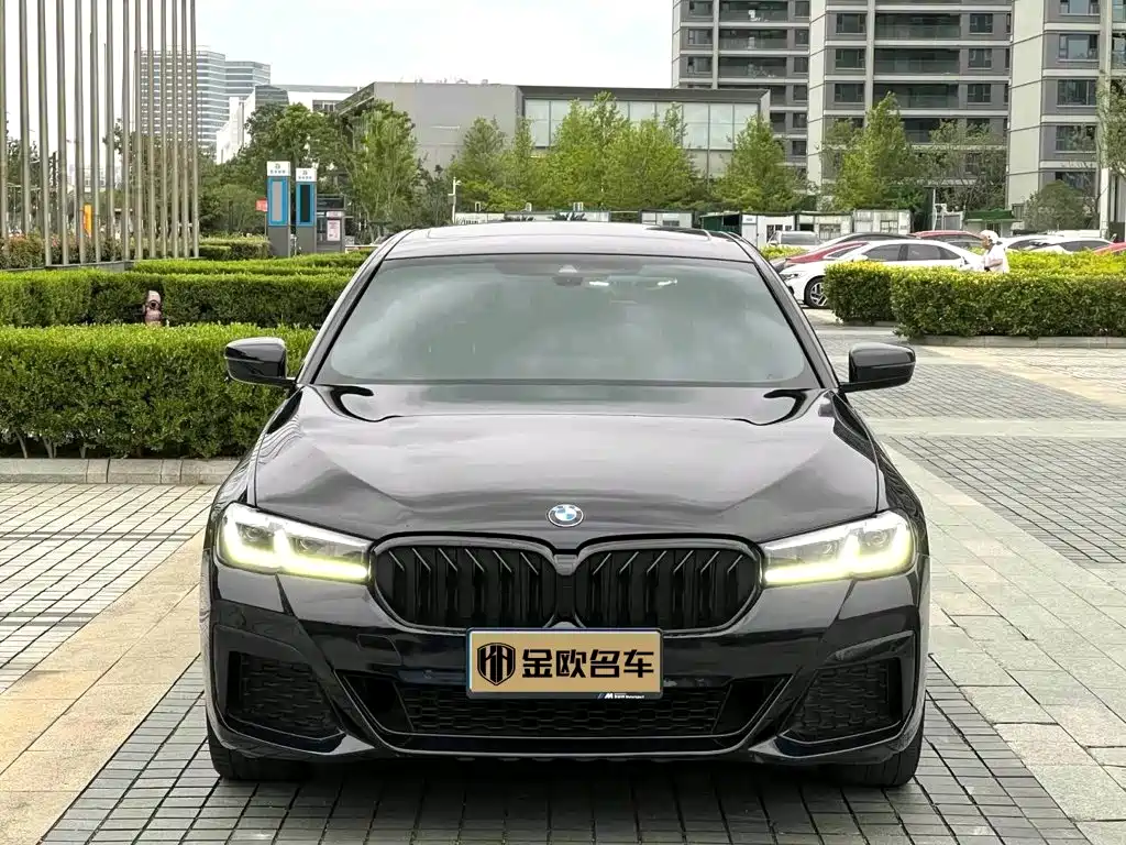 BMW 5 Series — миниатюра 2