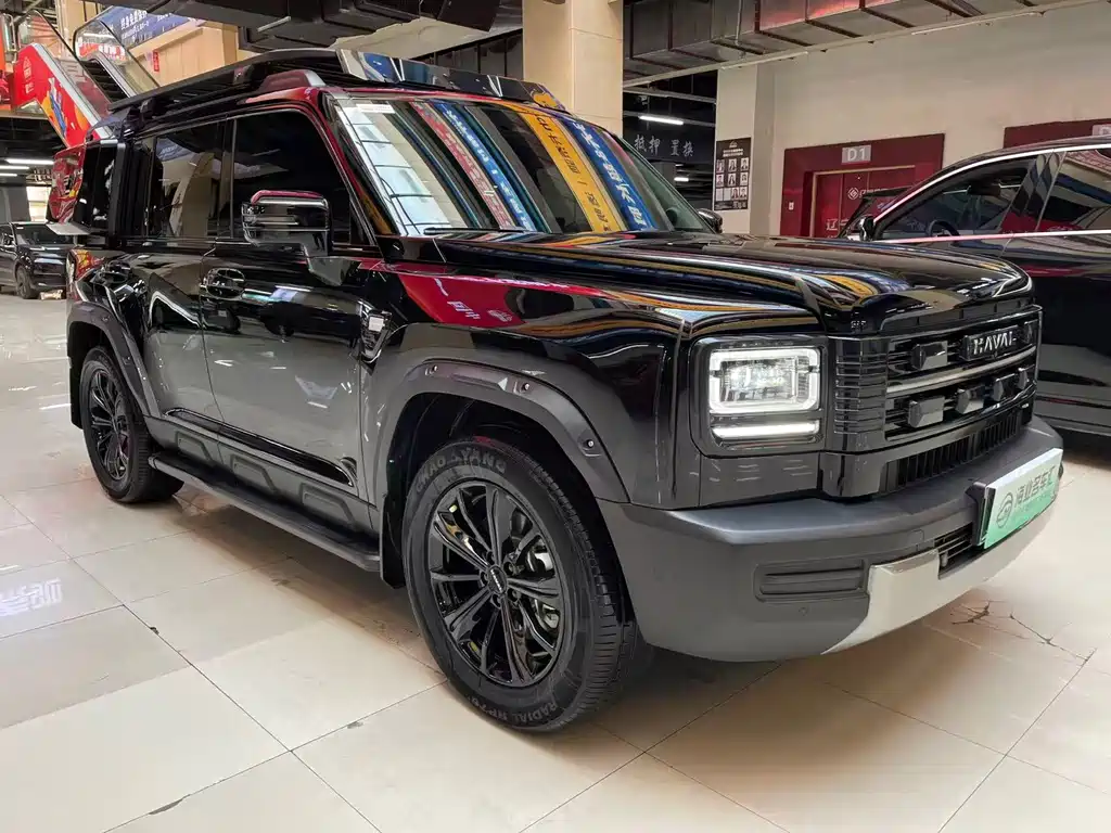 Haval Menglong New Energy — миниатюра 3