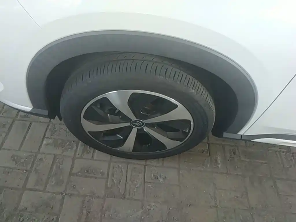 BYD PLUS New Energy — миниатюра 23