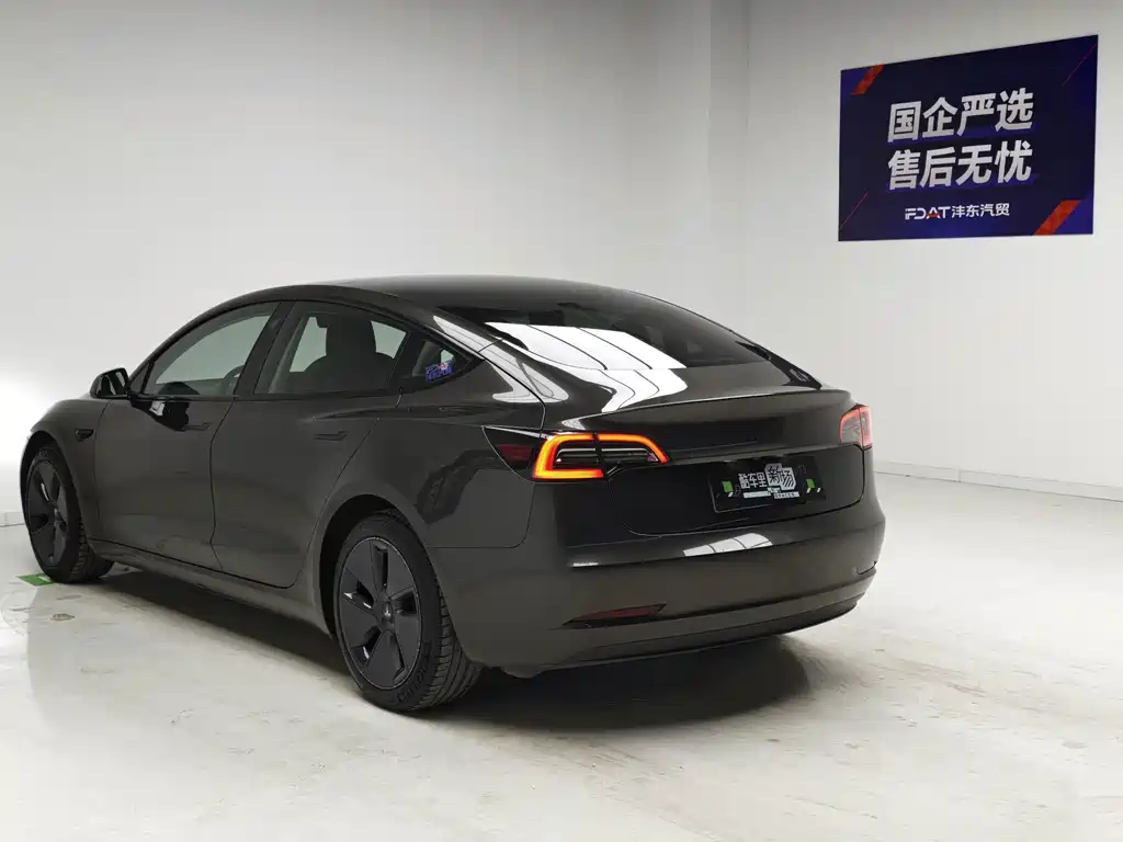 Tesla Model 3 — миниатюра 6