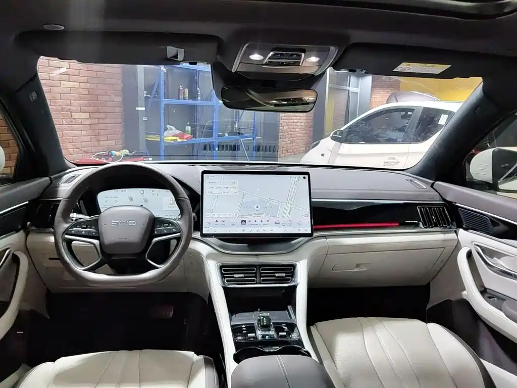 BYD PLUS New Energy — миниатюра 12