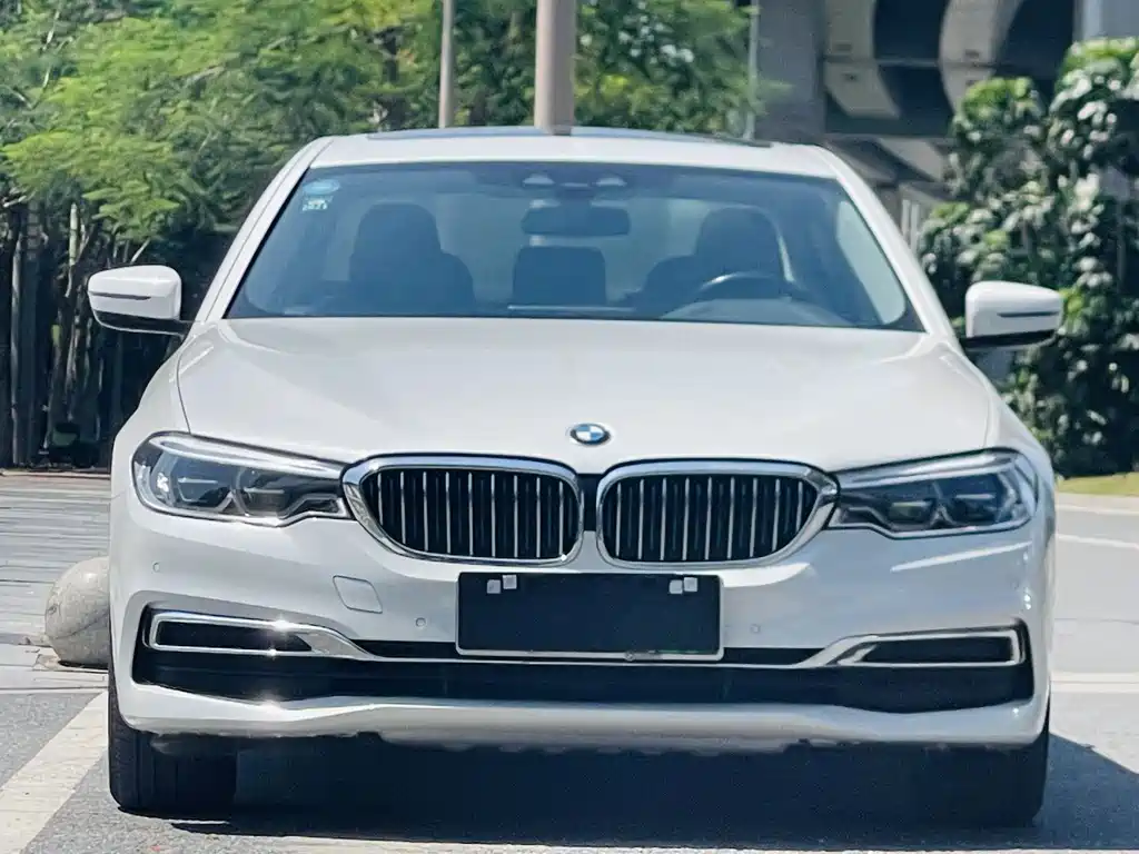 BMW  5 SERIES NEW ENERGY