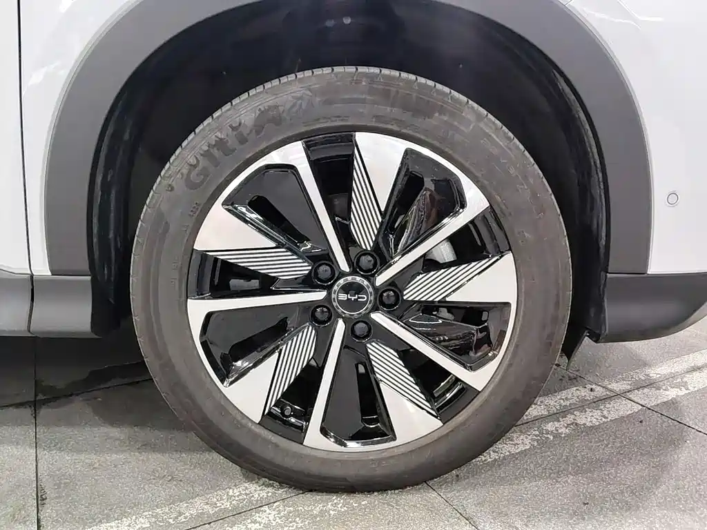 BYD PLUS New Energy — миниатюра 17