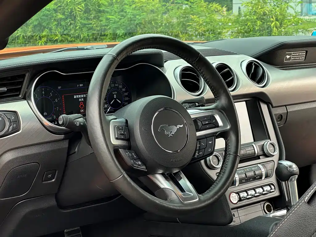 Ford Mustang — миниатюра 9