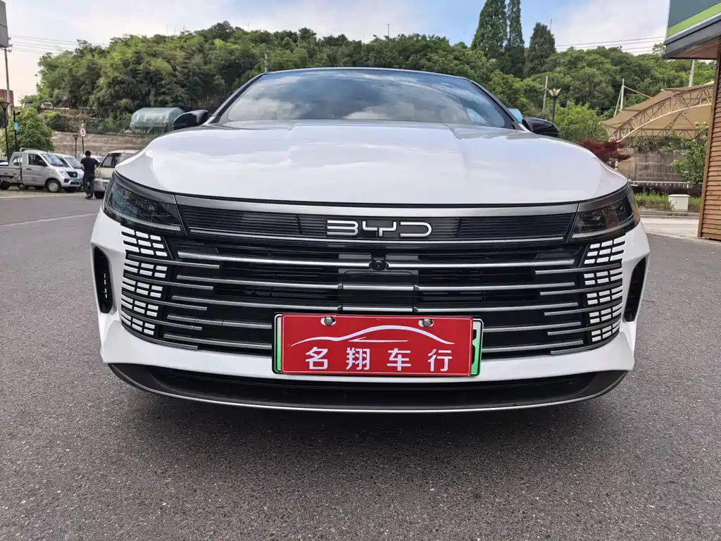 BYD Destroyer 05 2024 DM-i 55KM Luxury
