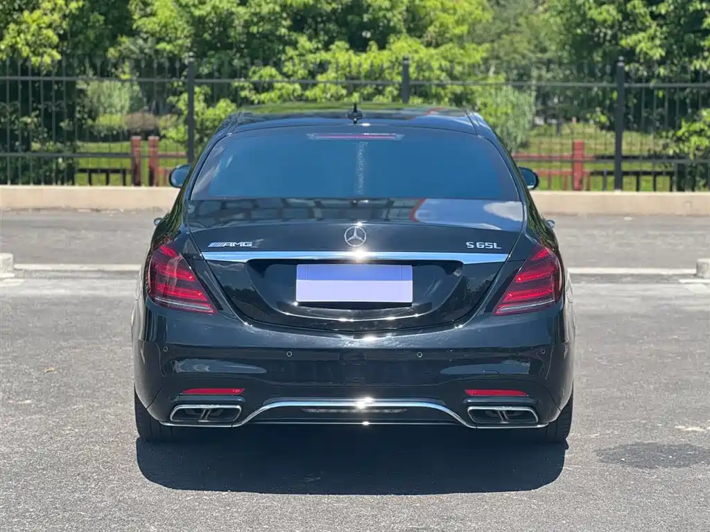 Mercedes-Benz S-Class A MG S AMG 2018 AMG S 65 L