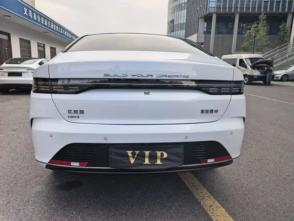 BYD Destroyer 05 2024 DM-i 55KM Luxury