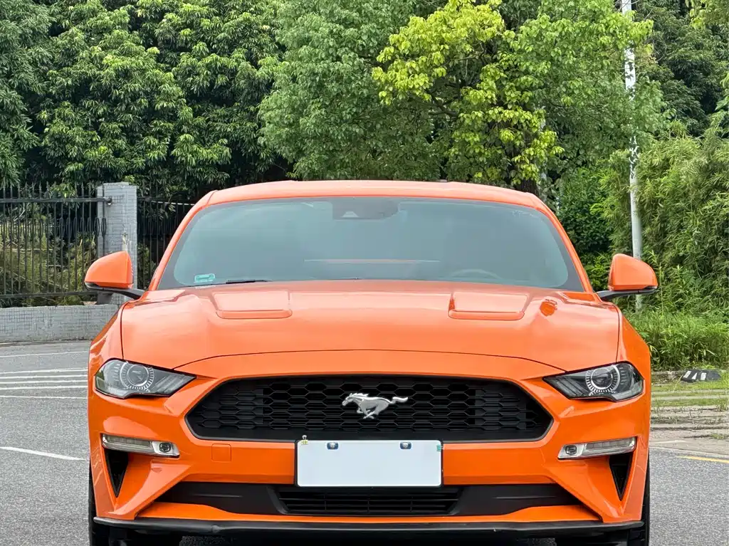 Ford Mustang — миниатюра 2