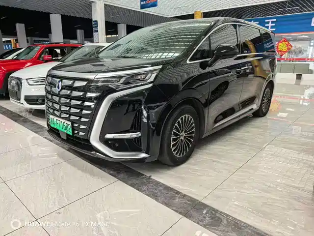 2023 Denza D9