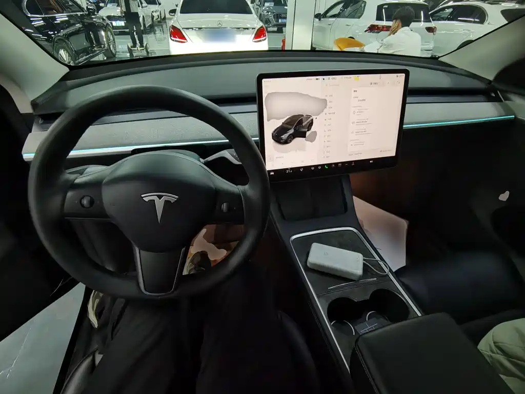 Tesla Model Y — миниатюра 10