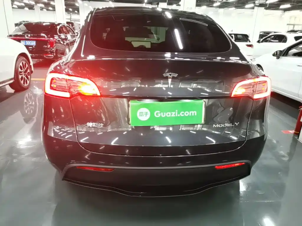 Tesla Model Y — миниатюра 6
