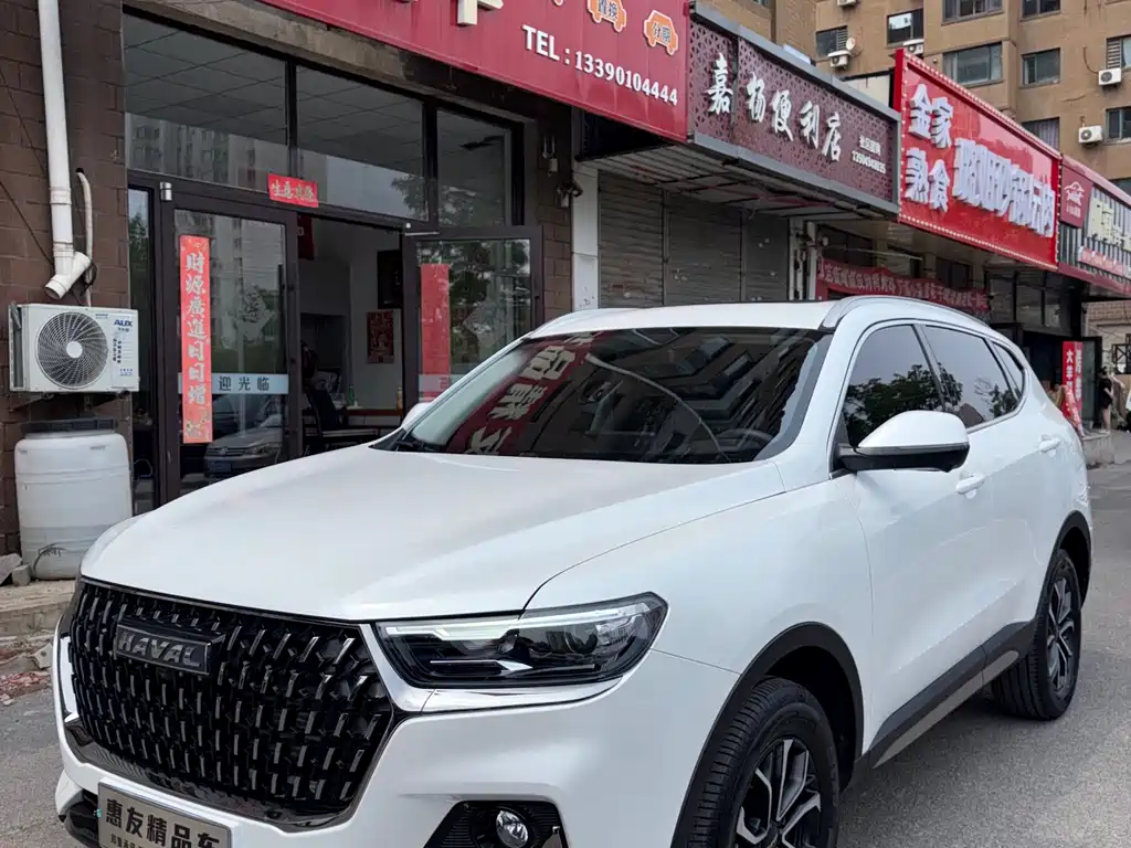 2023 Haval H6 - zdjęcie 1 z 19
