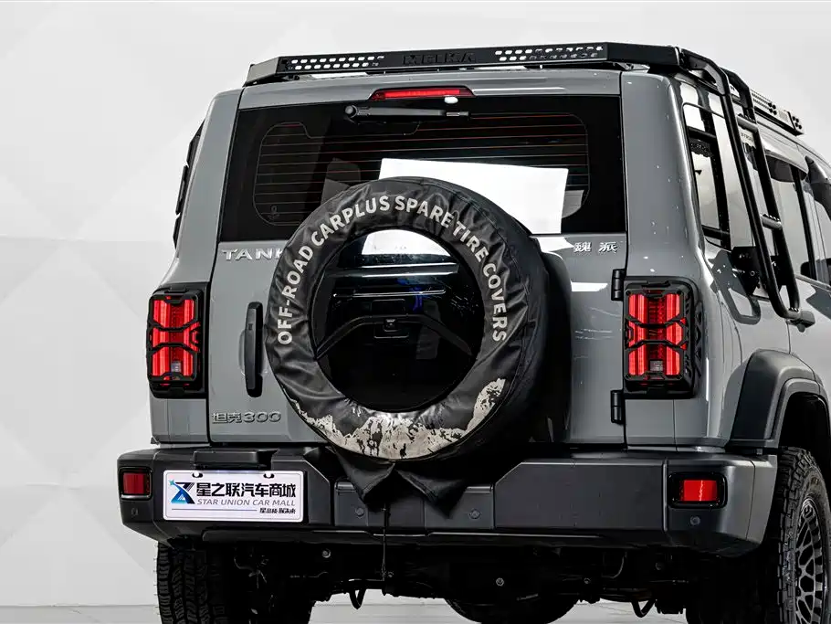 Tank Tank 300 — миниатюра 7