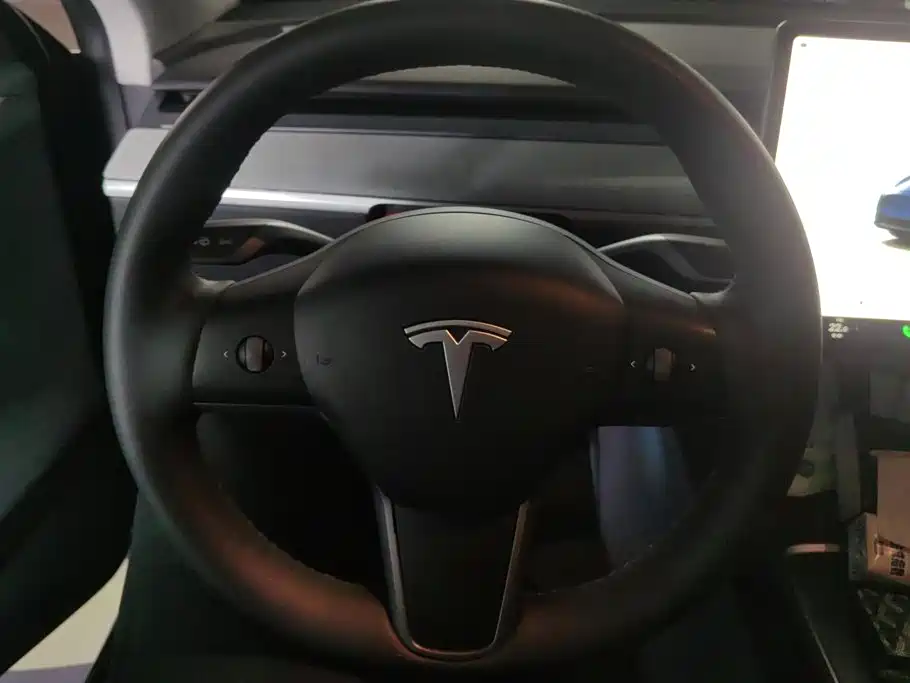 Tesla Model Y — миниатюра 15