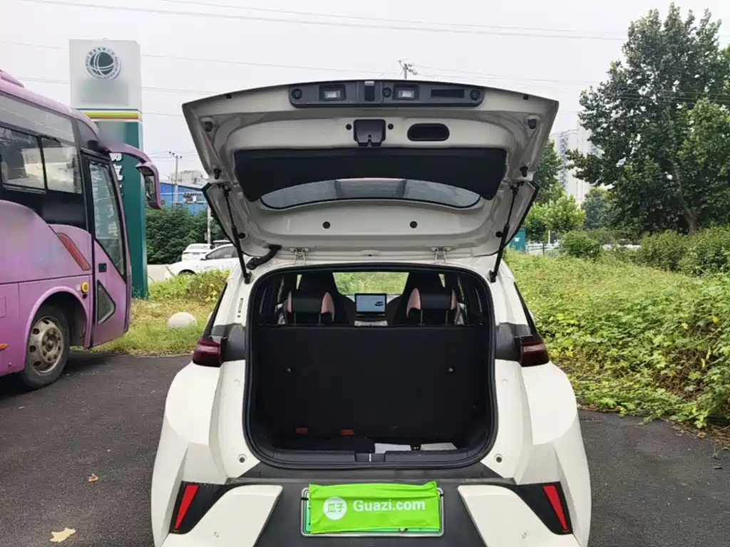 BYD Seagull — миниатюра 19