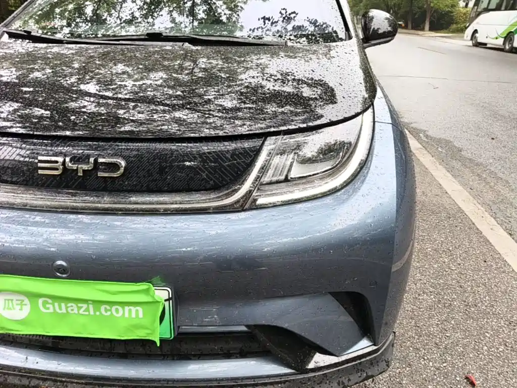 BYD Dolphin — миниатюра 24